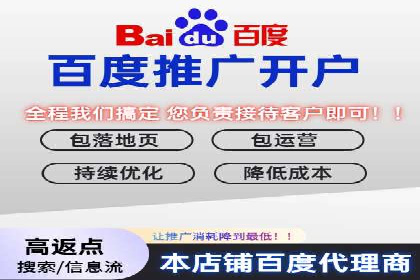 百度竞价广告投放成功案例解析